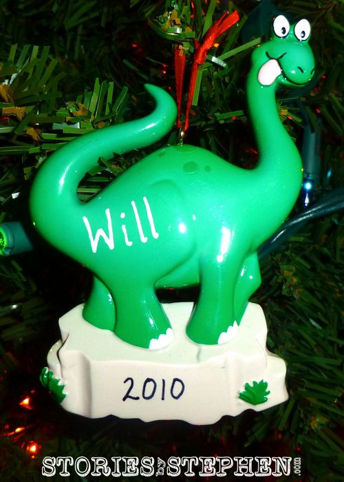 Our baby girl got a lot of attention, but we did not forget about Will in 2010!