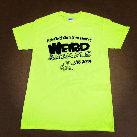 Not a "decoration", but our safety green VBS shirts added tons of color to VBS all week.