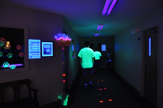 Our black light room that everyone walked through daily as they rotated among the stations. This was fun and another big hit with the kids.