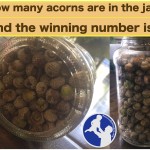 Acorn Results Header (1500w)