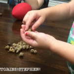 Counting Acorns Contest-4