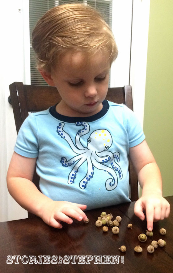 Sam is 3, and he can count to about 10. He needed Mommy's help, but he still loved counting all his acorns.