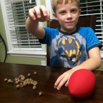 Counting Acorns Contest-6