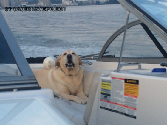 Even Tucker loves riding on the boat!