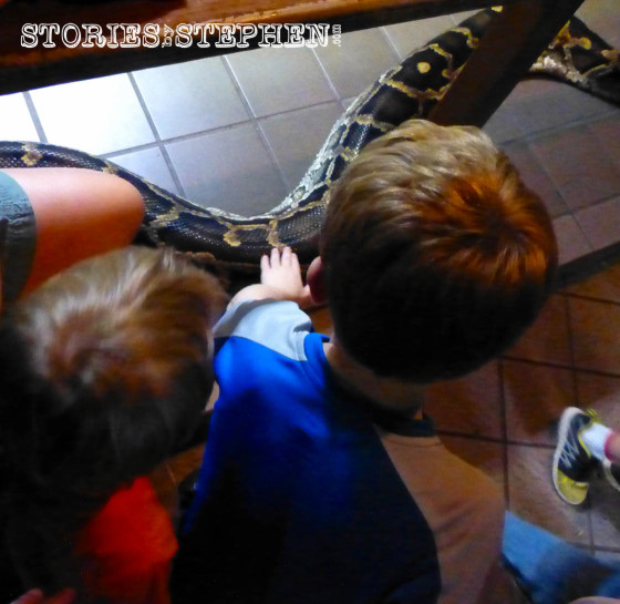 The boys petting a snake.