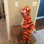 Christmas Break 2015 (WM 960w)-68 Memphis Tiger costume