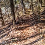 Cutchemine Trail Run (Lake Guntersville State Park) (WM)-28