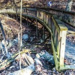 Cutchemine Trail Run (Lake Guntersville State Park) (WM)-3