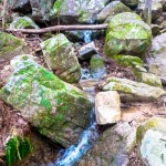Trail Run 3 Lake Guntersville State Park-13 cascade waterfall