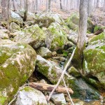 Trail Run 3 Lake Guntersville State Park-20 mossy rock