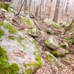 Trail Run 3 Lake Guntersville State Park-21-5 mossy rock