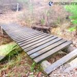 Trail Run 3 Lake Guntersville State Park-32-5 wooden bridge
