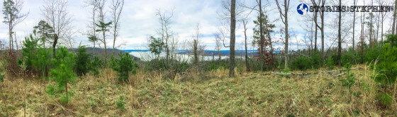 Panoramic lake view from Butler Pass. As a point of reference, this grassy area is located just under a wooden lookout platform that belongs to a private residence (perhaps a park ranger).