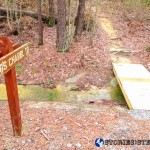 Trail Run 3 Lake Guntersville State Park-56 King’s Chapel Trail