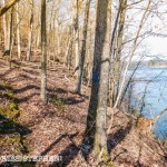 Seals & Lickskillet Trail Run Lake Guntersville State Park-18