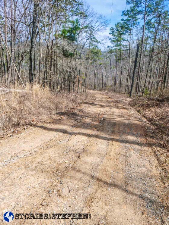 When I turned on the service road, it started the most difficult section of running I have done at Lake Guntersville State Park. The service road was straight up-hill, and when I turned right onto the Lickskillet Trail, it was also straight uphill. From the bottom of the service road to the top of the Lickskillet Trail, it gains 430 feet of eleveation in 1 mile.