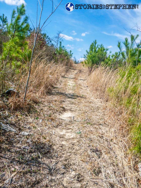 Approaching the top end of the Lickskillet Trail, still going uphill.