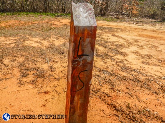 I had driven past this spot before my run, as I was thinking I might start my run here. However, I did not see the trail head when I was driving through the park because there is not a real sign or trail map posted here. There is just a wooden post with "LS" written on it.