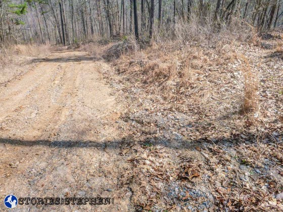 Seals & Lickskillet Trail Run Lake Guntersville State Park-78