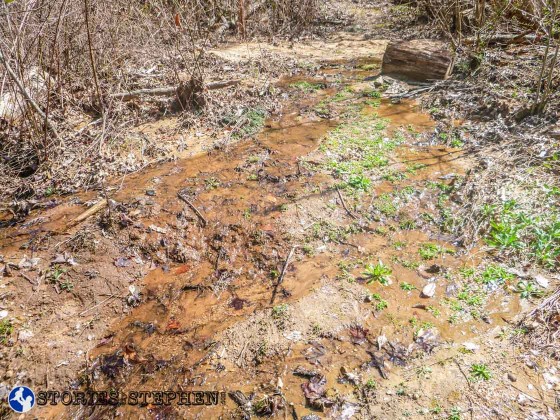 There were some wet, muddy sections of the Lickskillet Trail toward the east end.