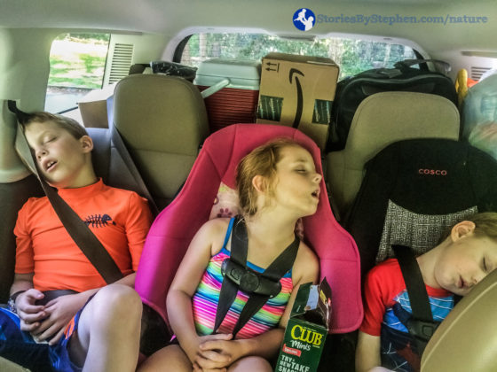 After gathering firewood, setting up camp and eating lunch, we drove to a trail to hike and search for swimming holes. The kids were so worn out from setting up camp that they all passed out in the car.