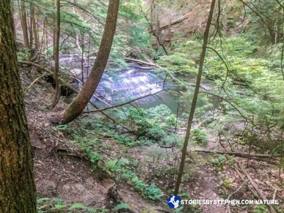 We did finally start to see some of the small waterfalls that were supposed to be on this trail.