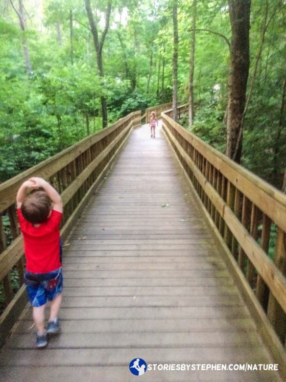 The kids love wooden boardwalks.