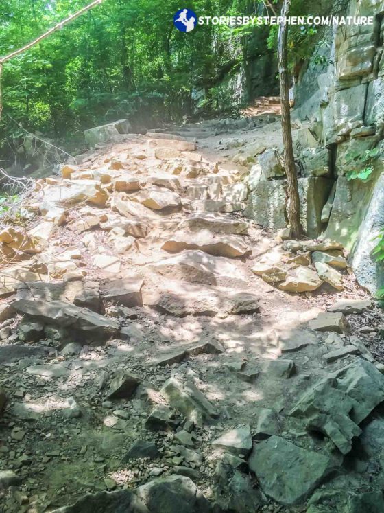 As we got closer to Greeter Falls, the trail got very rocky. This started to remind me of some of the waterfall hikes at Fall Creek Falls State Park.