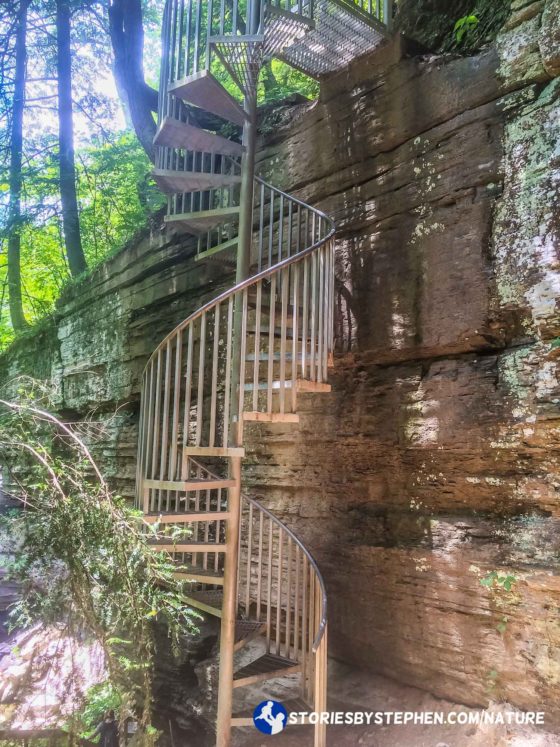 We were getting so close to Greeter Falls, and then we had to climb down this steep spiral staircase. The kids were all scared, but they knew it was the only way to get to the waterfall.