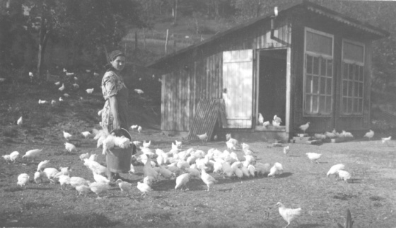 girl chicken coop